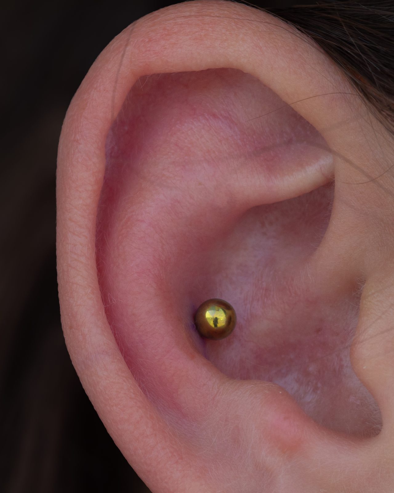 Conch Gold Ball