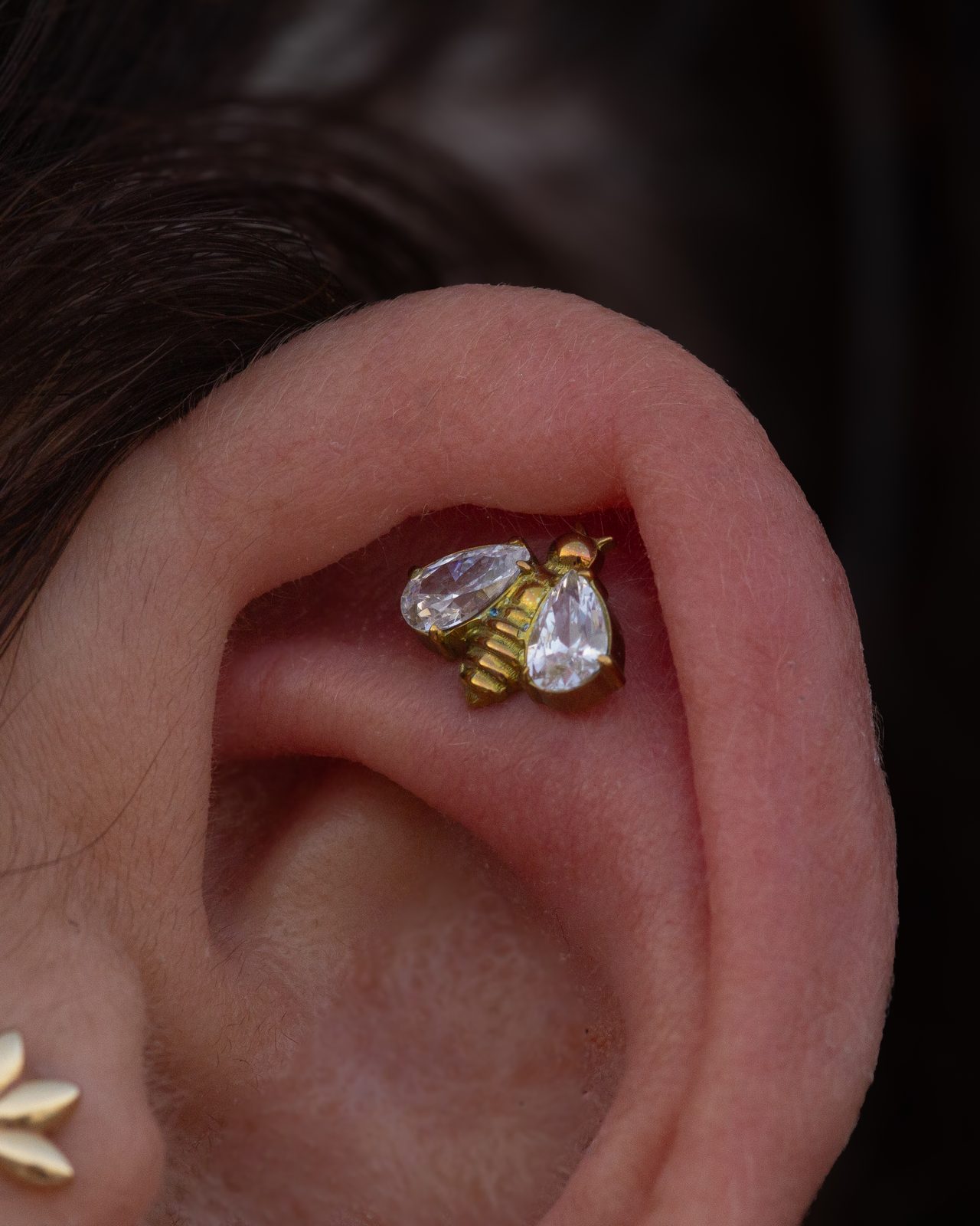 Conch Bee Gold